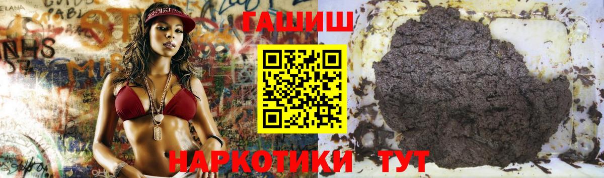 ГАШ Premium Кудрово