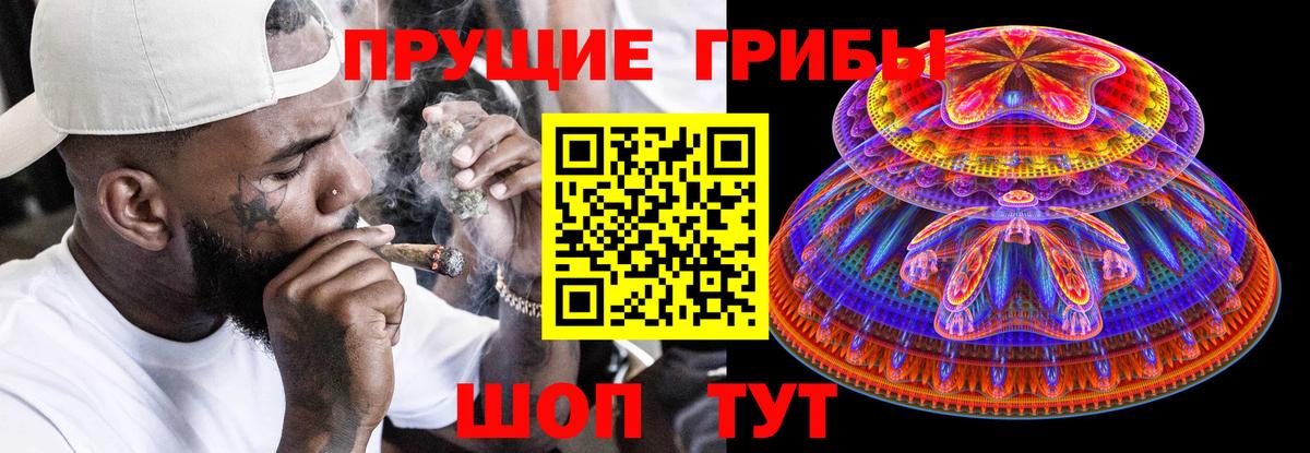 где найти наркотики  Вход с VPN  Кудрово  Галлюциногенные грибы мухоморы 