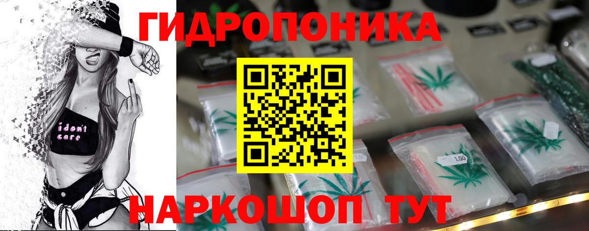 Кудрово  Каннабис план  Канабис SATIVA & INDICA  МАРИХУАНА AK-47  Вход с VPN 